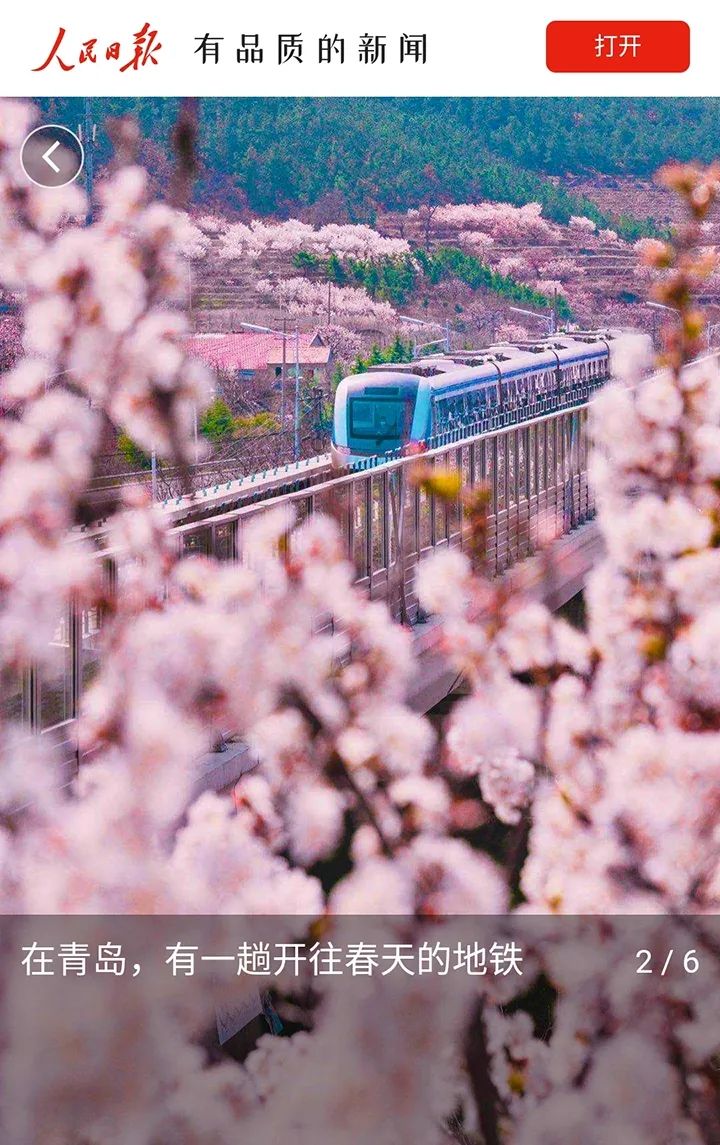 青岛这趟开往春天的地铁，＂驶＂上了人民日报客户端