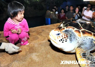 青岛海底世界“易主”的背后是一盘什么棋？