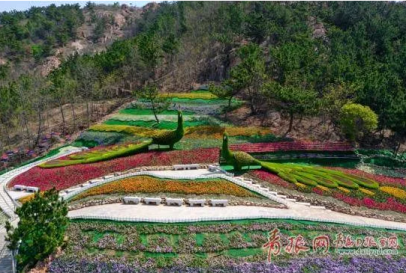 最新通知 青岛这个景区叫停免费入园