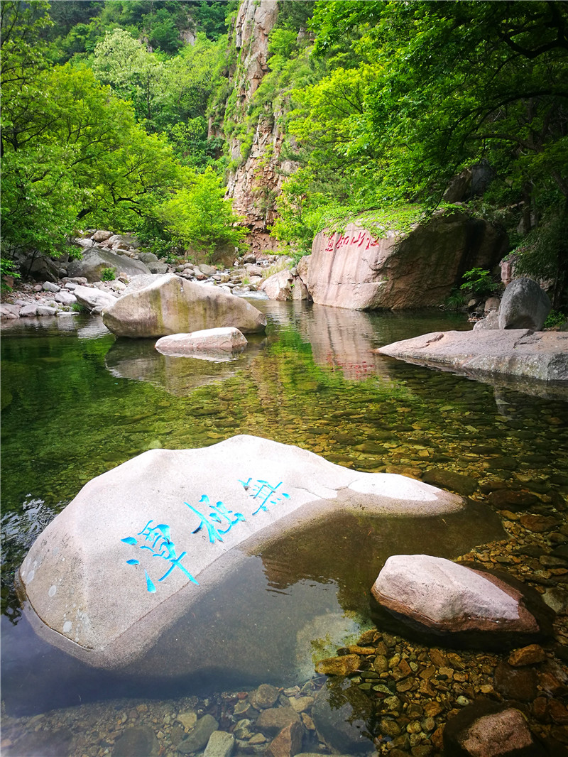 雨后青岛北九水进入最美季 山青树翠水清凉