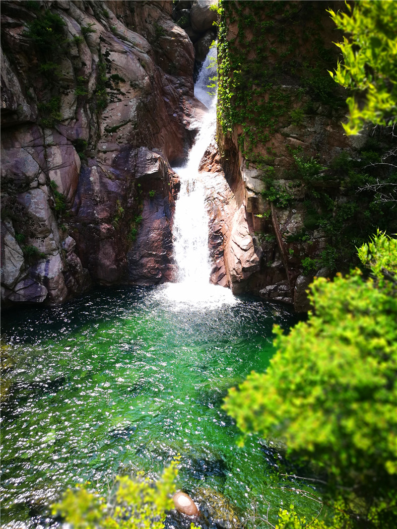 雨后青岛北九水进入最美季 山青树翠水清凉