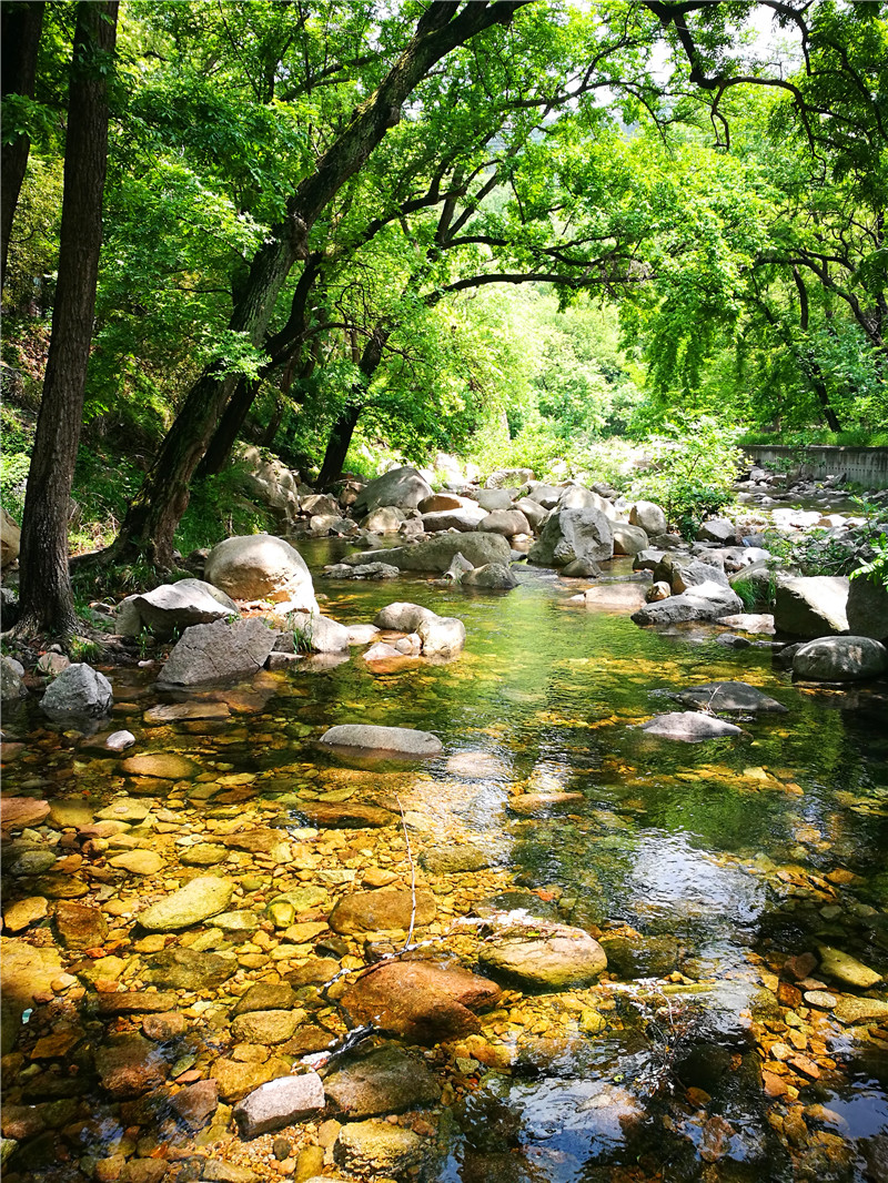 雨后青岛北九水进入最美季 山青树翠水清凉