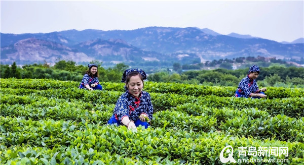 青岛最美乡村打卡地名单正式出炉！“十一”长假去打卡吧