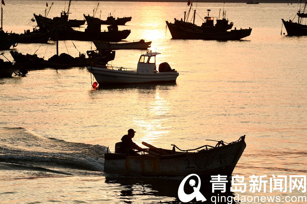 【秋游青岛】顾家岛码头 观赏渔舟唱晚美丽景色的好地方