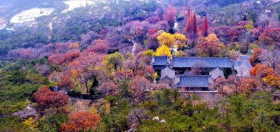 <b>青岛全员核酸检测后首个周末 景区人气又回来了</b>