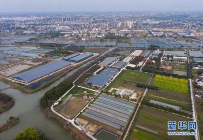 浙江桐乡：打造生猪生态养殖牧旅结合新模式