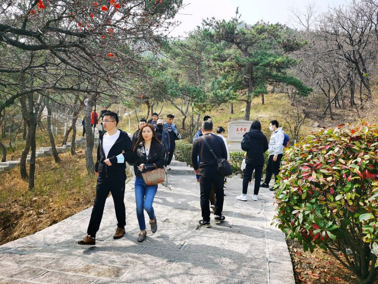 醉美崂山 市民踏青忙