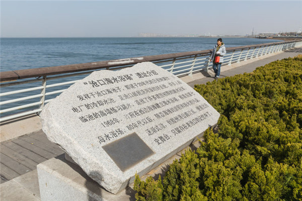 城市记忆！寻找消失的沧口海水浴场