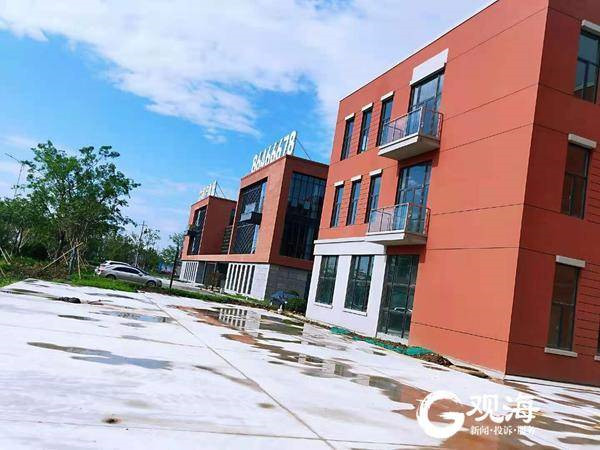 青岛新东方国际双语学校进入装饰装修阶段，今年秋季将建成招生