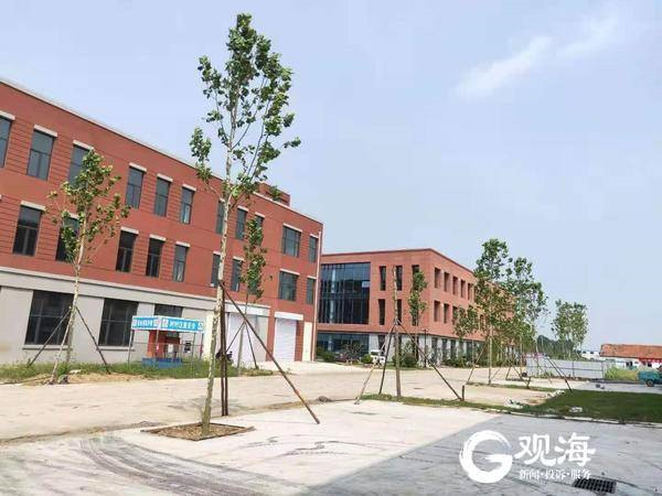 青岛新东方国际双语学校进入装饰装修阶段，今年秋季将建成招生