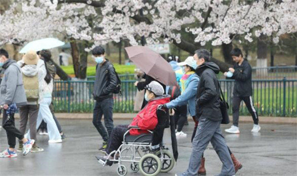 清明假期青岛纳客144.98万人次 实现消费17.13亿元