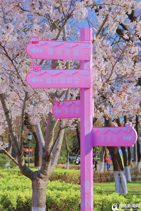 中山公园除了浪漫樱花 美丽的小姐姐纷纷来打卡！