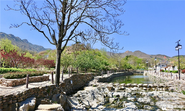 见证青岛：在西海岸新区 见证生态 艺术 5G共生蝶变