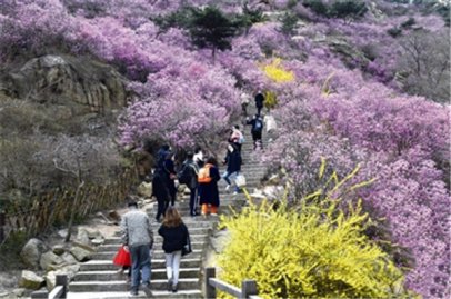 <b>青岛本地游：旅游市场关键驱动力</b>