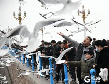 <b>项目“投资”游客“投票”，青岛旅游晋位“双十佳”</b>
