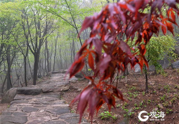 雨后崂山北九水：云雾缥缈飞瀑再现