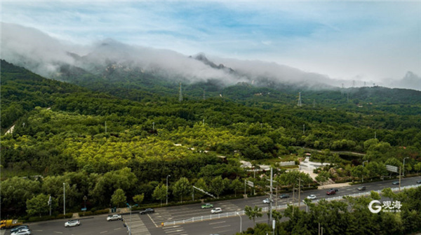 浮山“盖帽”，端午假日壮观景色再临青岛