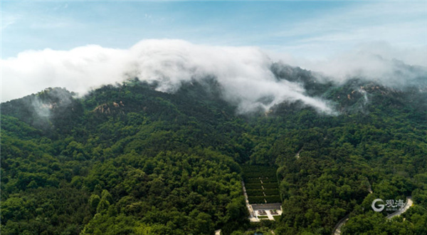 浮山“盖帽”，端午假日壮观景色再临青岛