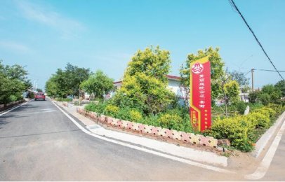 <b>拿出青岛担当：打造乡村振兴齐鲁样板先行区</b>