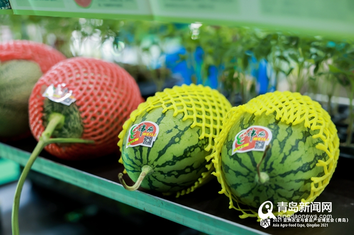2万件展品等你来 2021亚洲农食博览会青岛开幕为期3天