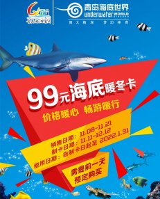 青岛海底世界推出99元“暖冬卡”，自购省钱，分享赚钱！