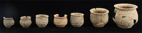 “考古中国”公布新石器时代考古重要进展：河姆渡文化、良渚文化、仰韶文化再揭新发现