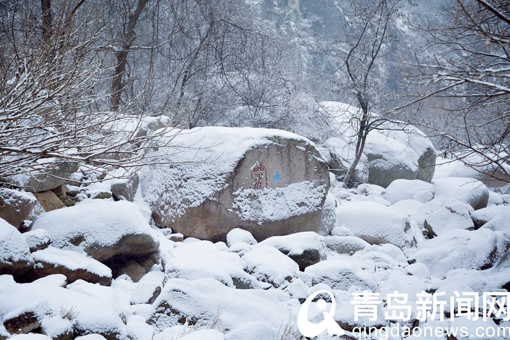 披了新装换了韵味 雪后崂山北九水展现冬日岛城风光美