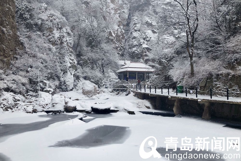 披了新装换了韵味 雪后崂山北九水展现冬日岛城风光美