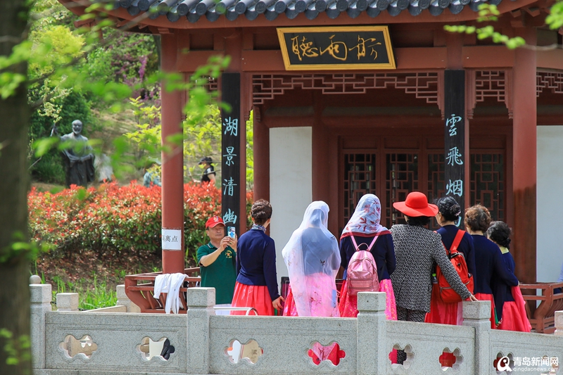 牡丹花迎来盛花期 城阳国学公园里探访＂春之青岛＂