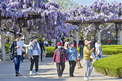 365.51万人次畅游青岛！“五一”假日青岛文旅市场丰富供给满足群众需求