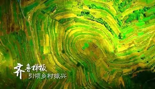 让乡村振兴齐鲁样板成色更足