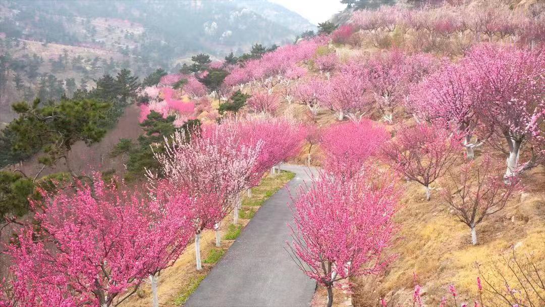 喜迎旅发大会 跨越山海奔赴大美蓝谷