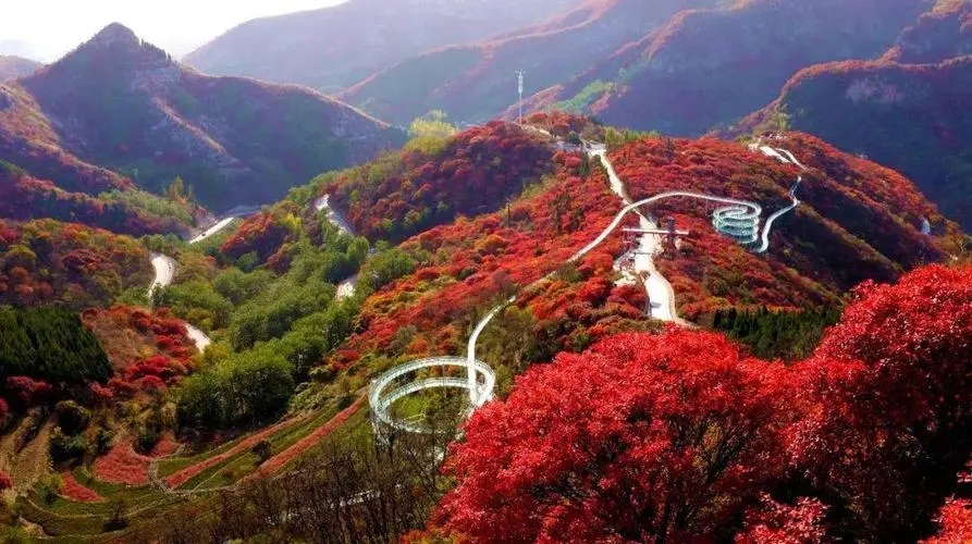 高铁票可免费兑换门票 淄博10余家景区发布优惠政策