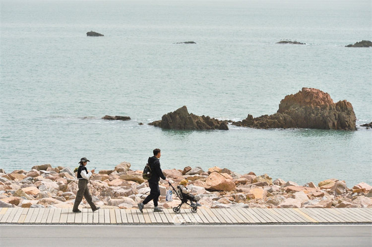 粉色的海岸线？安排！小麦岛景观升级为“浪漫海湾”