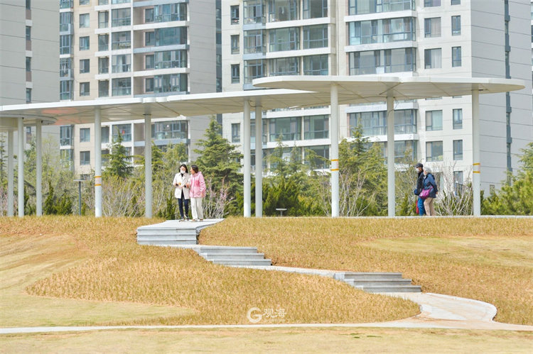 粉色的海岸线？安排！小麦岛景观升级为“浪漫海湾”