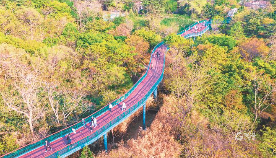 太平山中央公园、浮山森林公园正式对外开放首日：美了城市山头，乐在市民“心头”