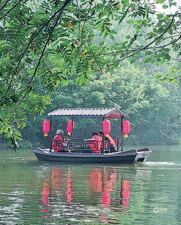 乡村振兴齐鲁样板“青岛场景”入佳境