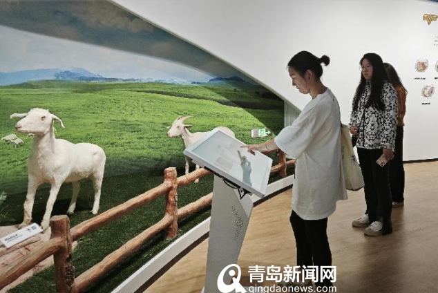 青岛“后花园”辟出文旅新路径