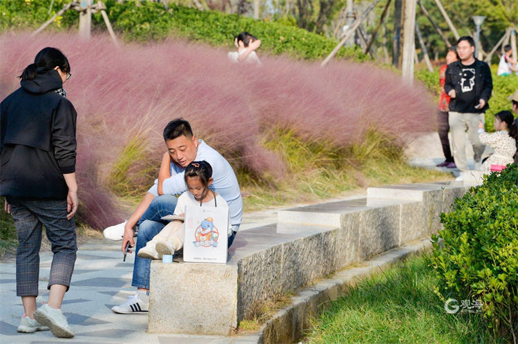 青岛城阳：一抹粉黛入秋色，浪漫花海迎客来