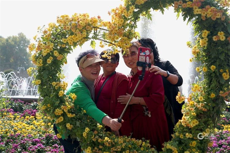 “微旅游”好去处！青岛中山公园菊花展喊你来打卡