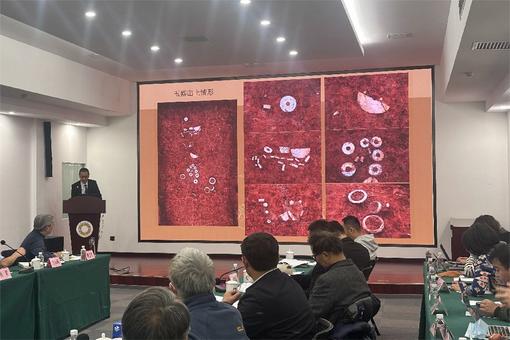 聚焦中华文明起源 国家文物局发布“考古中国”重大项目进展