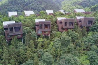 森林品咖啡、鲸鲨馆“海底露营” 游客追求“体验感”“参与感”