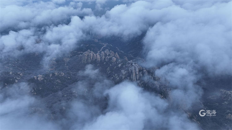 美不胜收！崂山景区再现雾凇景观