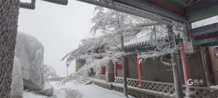 又遇雪花飘，青岛崂山宛若仙境