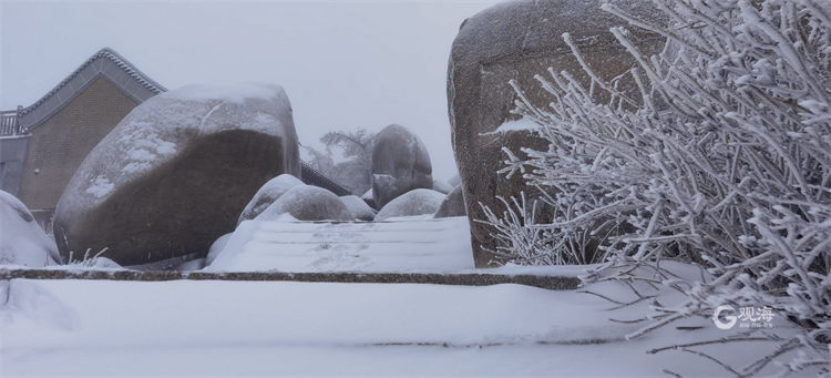 又遇雪花飘，青岛崂山宛若仙境