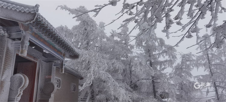 又遇雪花飘，青岛崂山宛若仙境