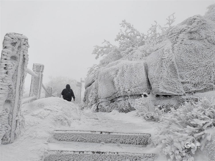 <b>又遇雪花飘，青岛崂山宛若仙境</b>