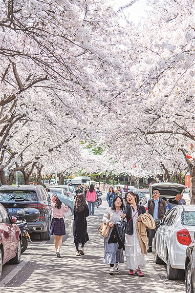 清明假期青岛景区火爆，市民解锁文旅新玩法