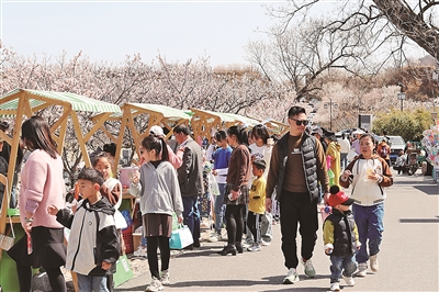 清明假期青岛景区火爆，市民解锁文旅新玩法