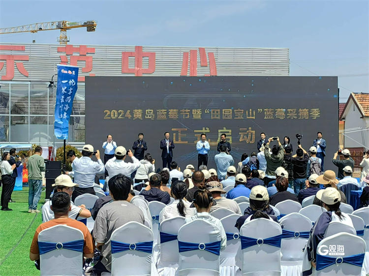 2024黄岛蓝莓节暨“田园宝山”蓝莓采摘季启动